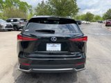 Used 2019 Lexus NX 300h AWD image 4