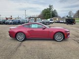 New 2025 Ford Mustang GT Premium image 4