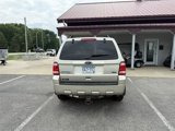 Used 2011 Ford Escape XLT image 5