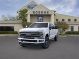 New 2025 Ford F250 Platinum image 2