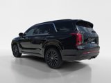 New 2025 Hyundai Palisade Calligraphy image 5