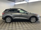 Used 2021 Ford Escape Titanium image 6