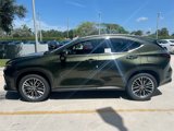 New 2026 Lexus NX 350 AWD w/ Luxury Package image 4