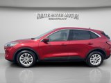 Used 2020 Ford Escape SE image 2