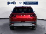 New 2025 Hyundai Tucson Limited image 4