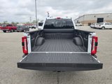 New 2025 Ford F250 XLT w/ Black Appearance Package image 5