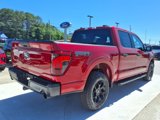 New 2025 Ford F150 STX w/ Equipment Group 201A FX4 image 5