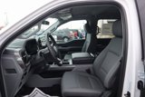 New 2025 Ford F150 XLT w/ Equipment Group 301A Standard image 5