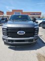 New 2025 Ford F250 Platinum image 3