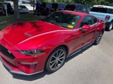 Used 2023 Ford Mustang Premium w/ Equipment Group 201A image 2