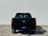 New 2025 Ford F150 XLT w/ Equipment Group 302A MID image 4