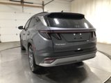 New 2025 Hyundai Tucson Limited image 5