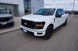 New 2025 Ford F150 XLT image 3