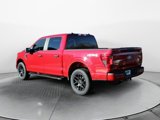 New 2025 Ford F150 STX w/ STX Black Appearance Package image 3