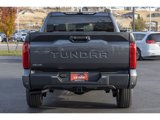 New 2025 Toyota Tundra SR5 image 4