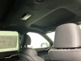 New 2025 Hyundai Palisade Calligraphy image 2