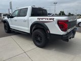 Certified 2024 Ford F150 Raptor image 5