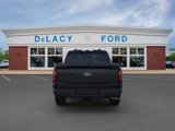 New 2025 Ford F150 XLT w/ Equipment Group 302A MID image 6