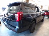 New 2025 Ford Expedition Platinum image 2