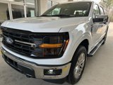 Certified 2024 Ford F150 XLT w/ Equipment Group 303A High image 3