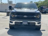 New 2025 Ford F150 XLT image 2