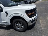 New 2025 Ford F150 XLT w/ Equipment Group 302A MID image 4