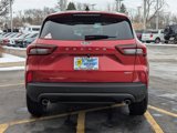 New 2025 Ford Escape ST-Line Elite w/ Tech Pack #1 image 4