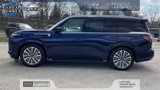 Certified 2025 INFINITI QX80 Sensory image 5