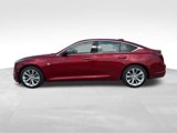 New 2025 Cadillac CT5 Premium Luxury image 4