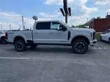 New 2025 Ford F250 Platinum image 2