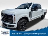 New 2025 Ford F350 Platinum image 4