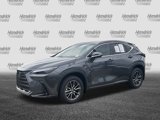 Certified 2025 Lexus NX 350 AWD w/ Luxury Package image 5