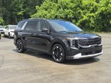 New 2025 Kia Carnival EX image 2