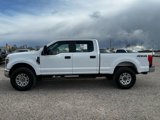 Used 2019 Ford F250 XL w/ STX Appearance Package image 6