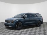 New 2026 Kia Carnival SX Prestige image 3