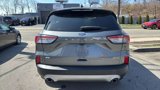 Used 2022 Ford Escape SE image 6