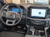 New 2025 Ford F150 XLT w/ Equipment Group 301A Standard image 5