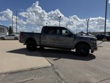New 2025 Ford F150 XLT image 6