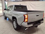 New 2025 Toyota Tacoma Limited image 6