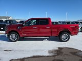 New 2025 Ford F150 XLT w/ Equipment Group 302A MID image 2