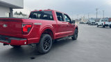 New 2025 Ford F150 XLT w/ Equipment Group 302A MID image 5
