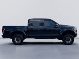 Used 2017 Ford F150 Raptor w/ Equipment Group 802A Luxury image 5