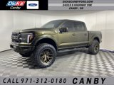 New 2025 Ford F150 Raptor image 1