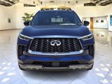 New 2025 INFINITI QX60 Autograph w/ Cargo Package image 2