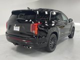 New 2025 Hyundai Palisade Calligraphy image 4