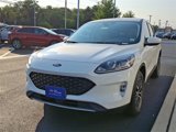 Certified 2022 Ford Escape SEL image 4