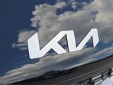New 2026 Kia Carnival SX image 4