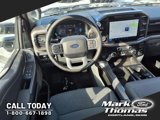 New 2025 Ford F150 XLT w/ Equipment Group 303A High image 6