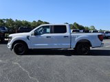 New 2025 Ford F150 STX image 4