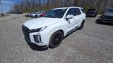 New 2025 Hyundai Palisade Calligraphy image 2